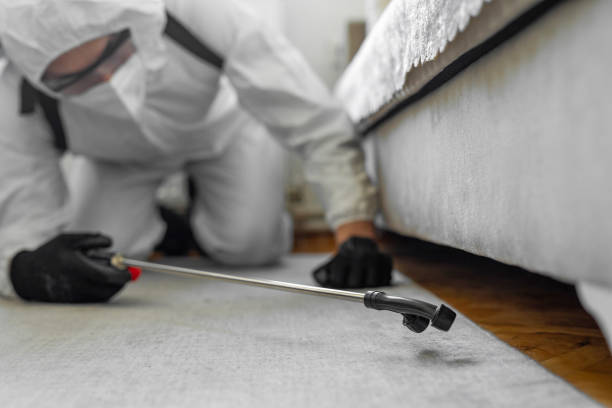 Professional Bed Bug Control technician working in Jefferson County County, GA